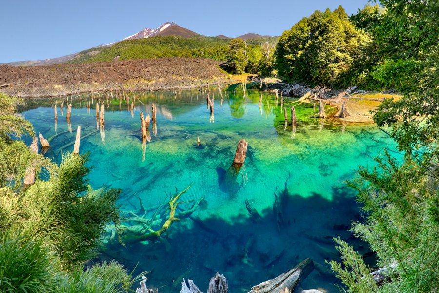 Le Lac Arcoiris, Parc national de Conguillio. Henner Damke - Fotolia