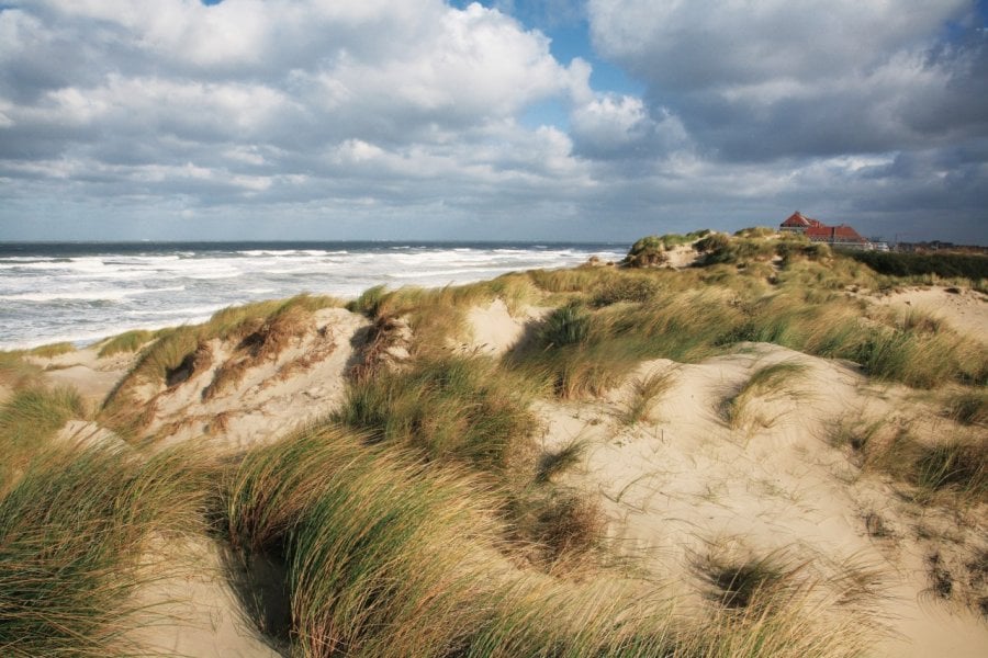 Réserve naturelle nationale de la dune Marchand Olivier LECLERCQ