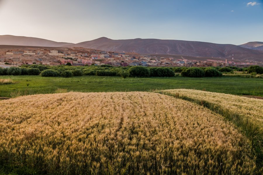 M'semrir. dorinser - Shutterstock.com