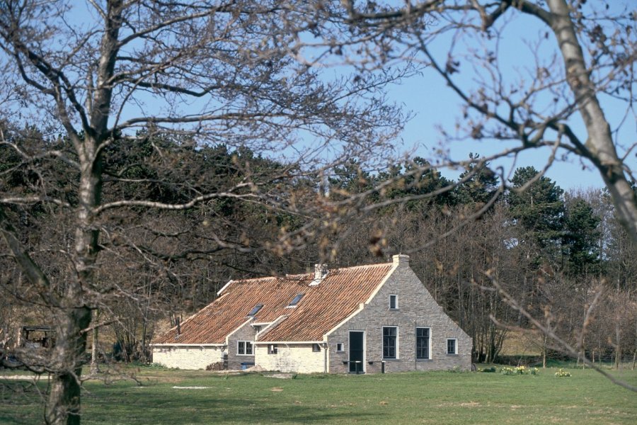 Ferme traditionnelle de Terschelling. H.Fougère - Iconotec