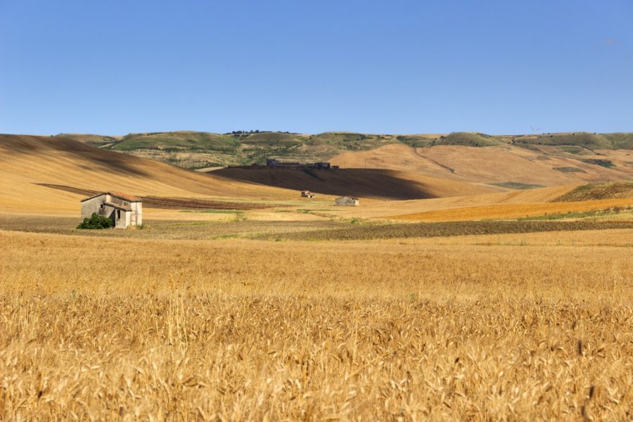 Entre la région des Pouilles et Basilicate. vololibero - Shutterstock.com