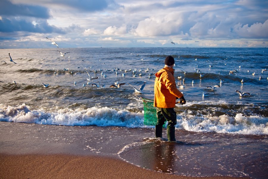 Recherche de l'ambre dans la mer Baltique. Anna Lurye - Shutterstock.Com