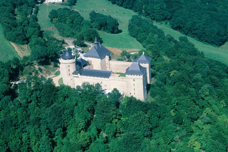 Château de Malbrouck à Manderen ERWAN LE PRUNNEC - ICONOTEC