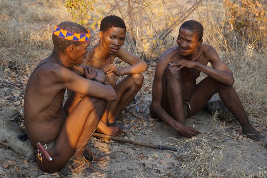 Bushmen. AmaiaL - Shutterstock.com