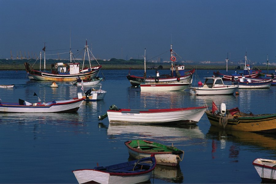 Profitez de la tranquillité du bord de mer. Author's Image