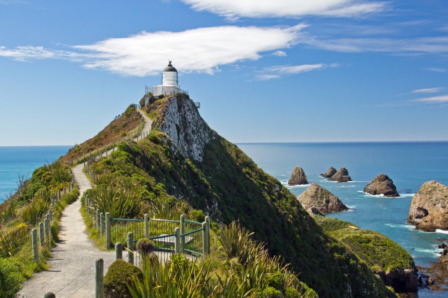 Nugget Point. pitsch22 - Shutterstock.com