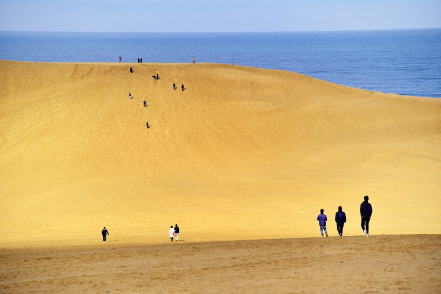 Les dunes de Tottori. shutterstock.com-shutteroly