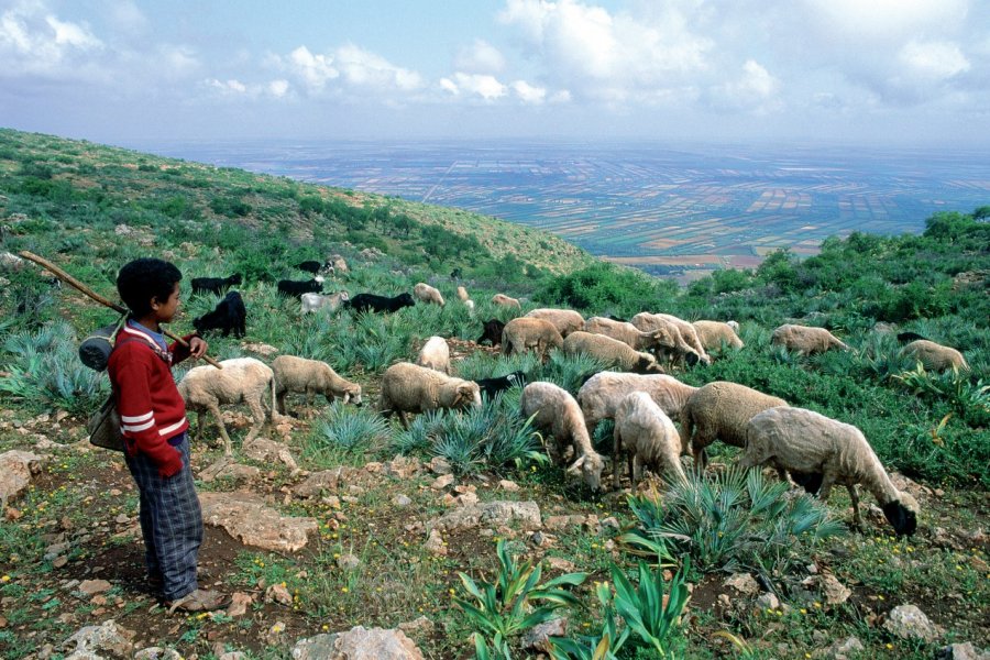 Jeune berger près du lac Bine el Ouidane. Atamu RAHI - Iconotec