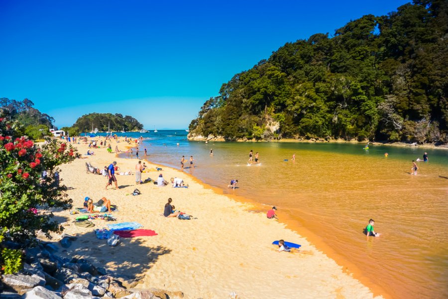 Plage de Kaiteriteri. Guaxinim - Shutterstock.com