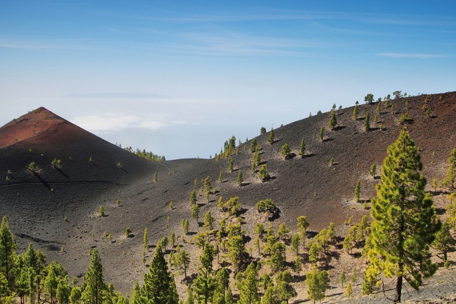 Volcan de l'île de La Palma. Marisa Estivill - Shutterstock.com