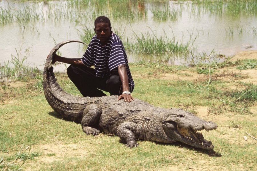 Étang aux crocodiles. Ghana Tourist Board