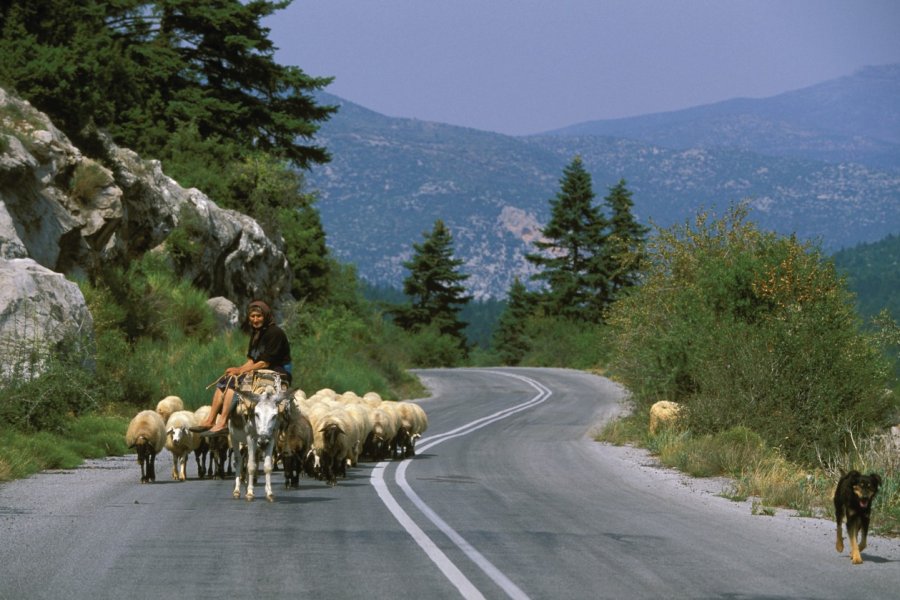 Bergère dans le massif du Parnon. Author's Image