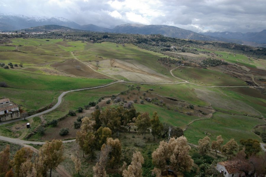 Vue sur le parc naturel de la Sierra de las Nieves. Stéphan SZEREMETA