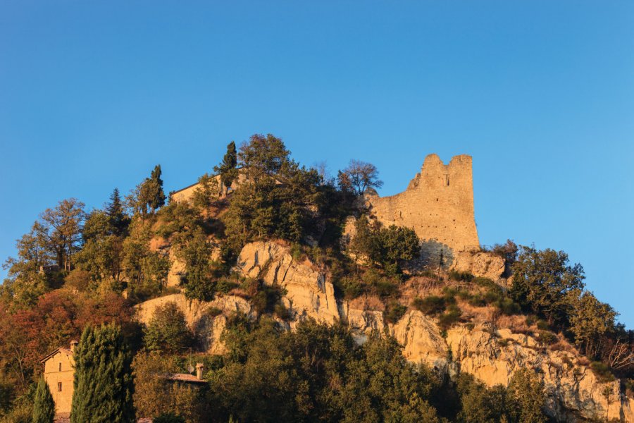 Le château de Canossa Flavio Vallenari