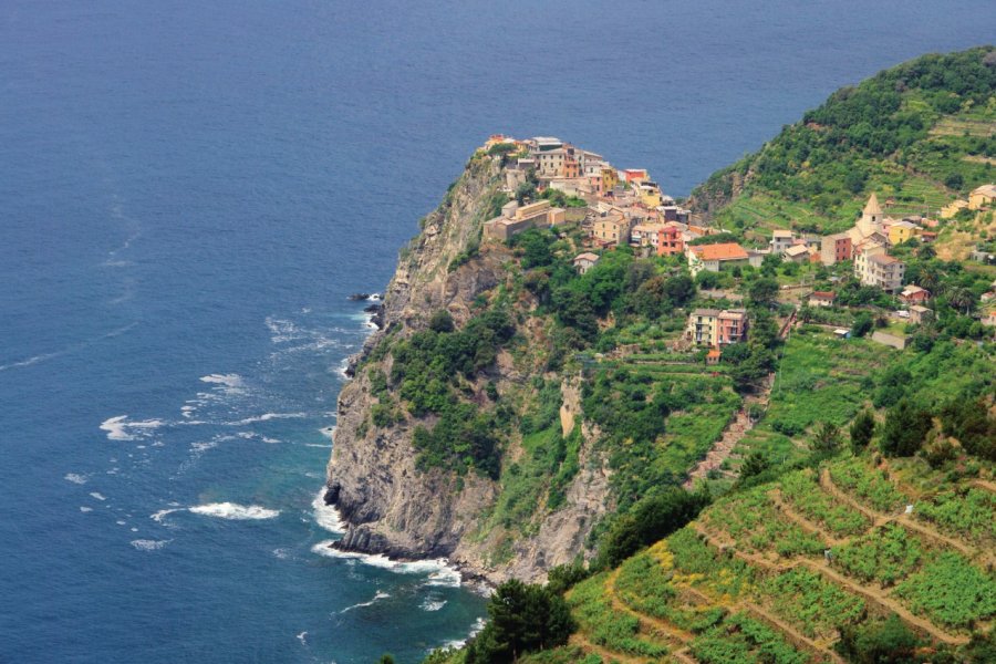 Corniglia. LianeM - iStockphoto