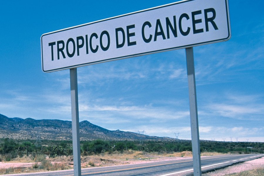 Tropique du Cancer. Sylvie LIGON