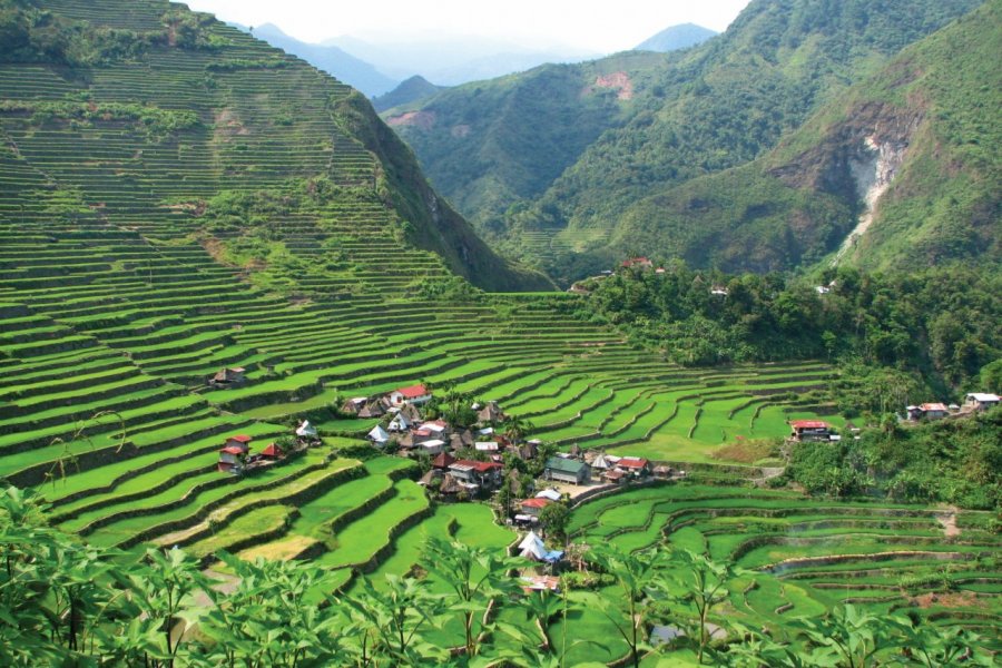 Banaue. Jonaldm - iStockphoto