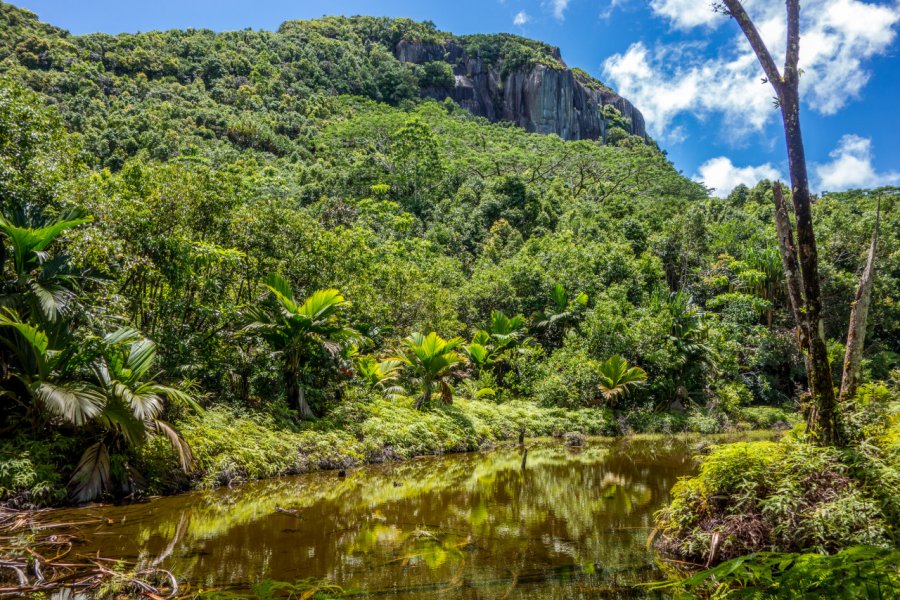 Le parc du Morne Seychellois. KarlosXII - Shutterstock.com