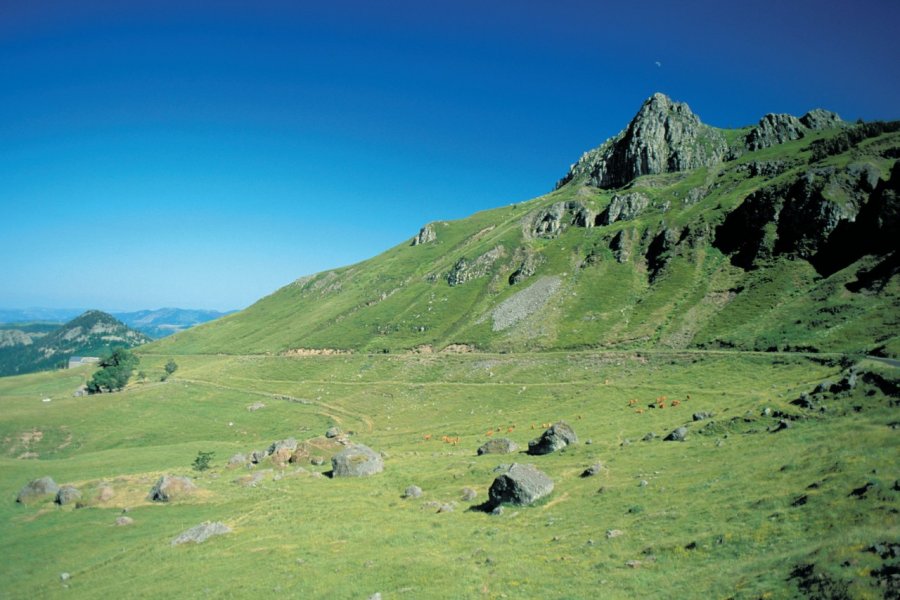 Massif du Mézenc Alamer - Iconotec