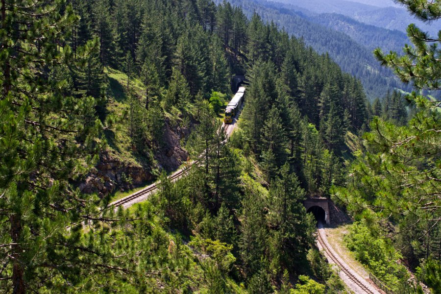 Le train Šarganska osmica dans les environs de Mokra Gora. CCat82 - Shutterstock.com