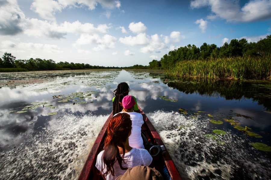 Canoé dans les eaux du Suriname. Tijmen - stock.adobe.com
