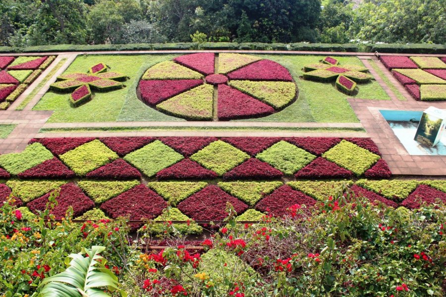Jardins chorégraphiés du Jardin Tropical de Monte. Martin FOUQUET