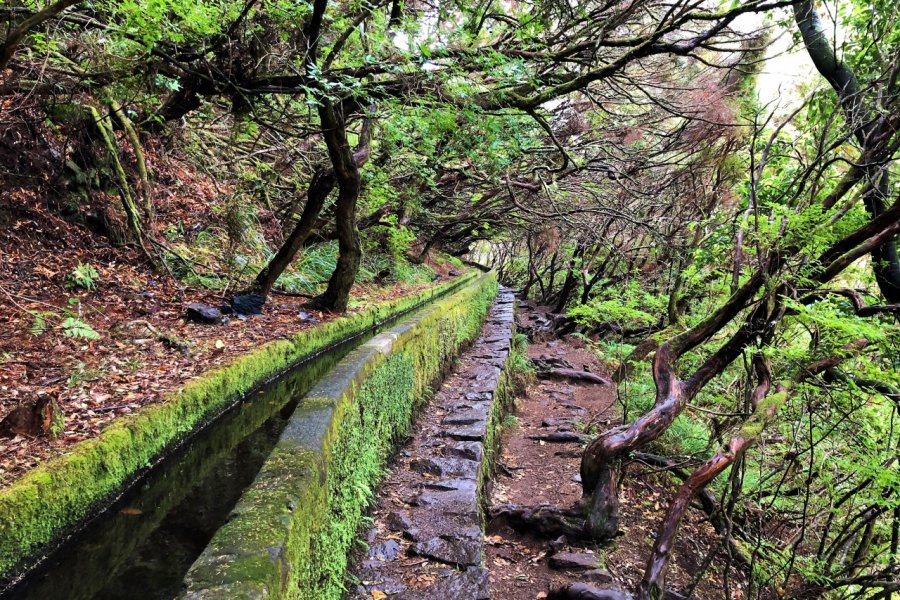 Levada à Rabaçal. Ludovic DE SOUSA