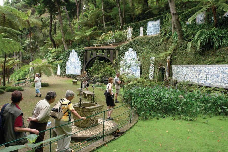 Jardin tropical. Sébastien Cailleux