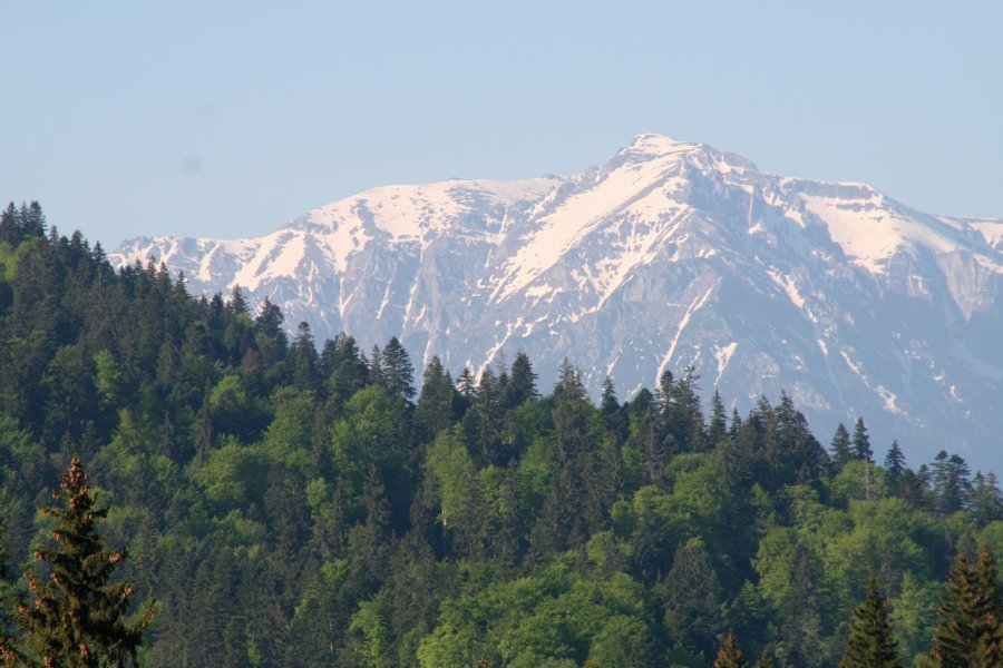 Épaisse forêt de conifères et sommets enneigés dans la région de Poiana Braşov. Stéphan SZEREMETA