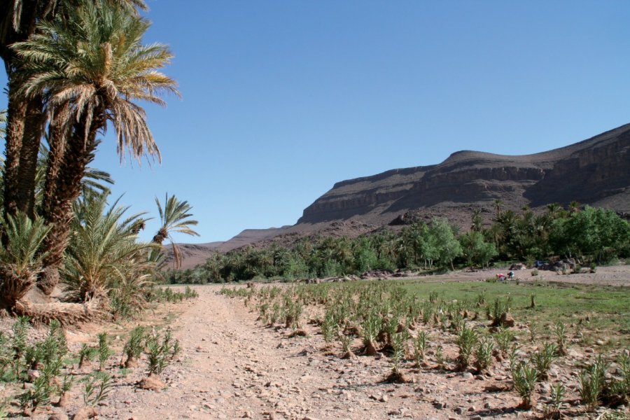 Oasis de Fint. Stéphan SZEREMETA