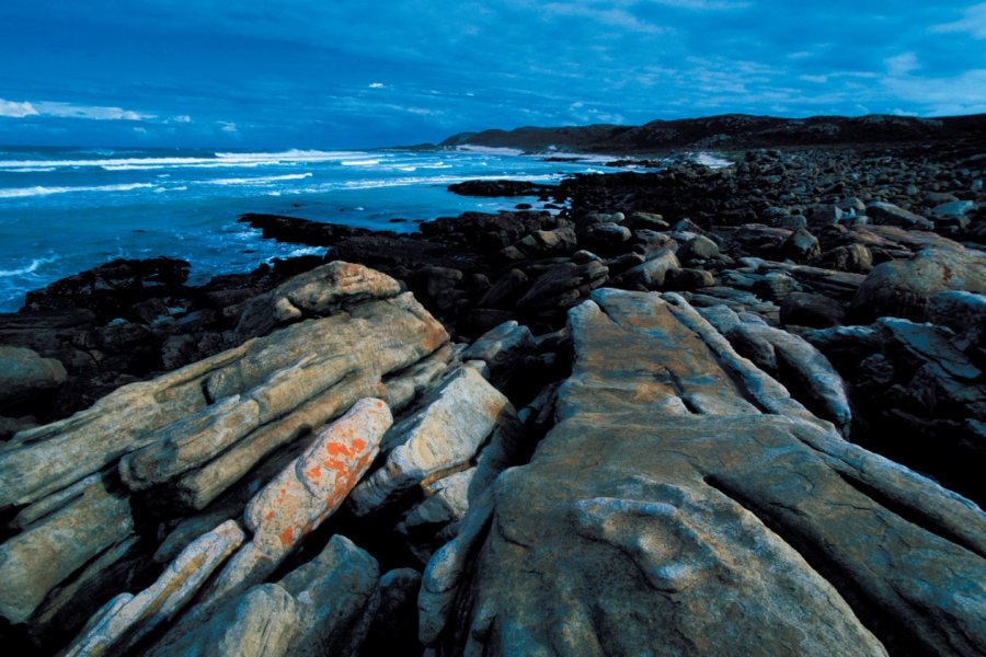 Péninsule du Cap de Bonne-Espérance Cali - Iconotec