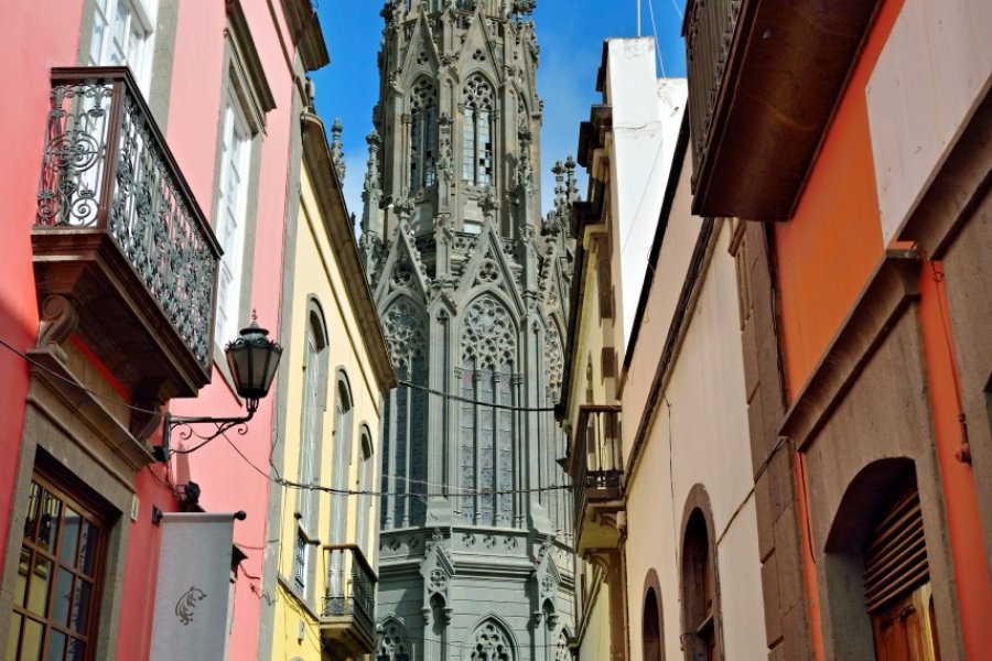 Vue sur l'église de San Juan Bautista, cathédrale gothique à Arucas. (© Alberto Loyo - Shutterstock.com))
