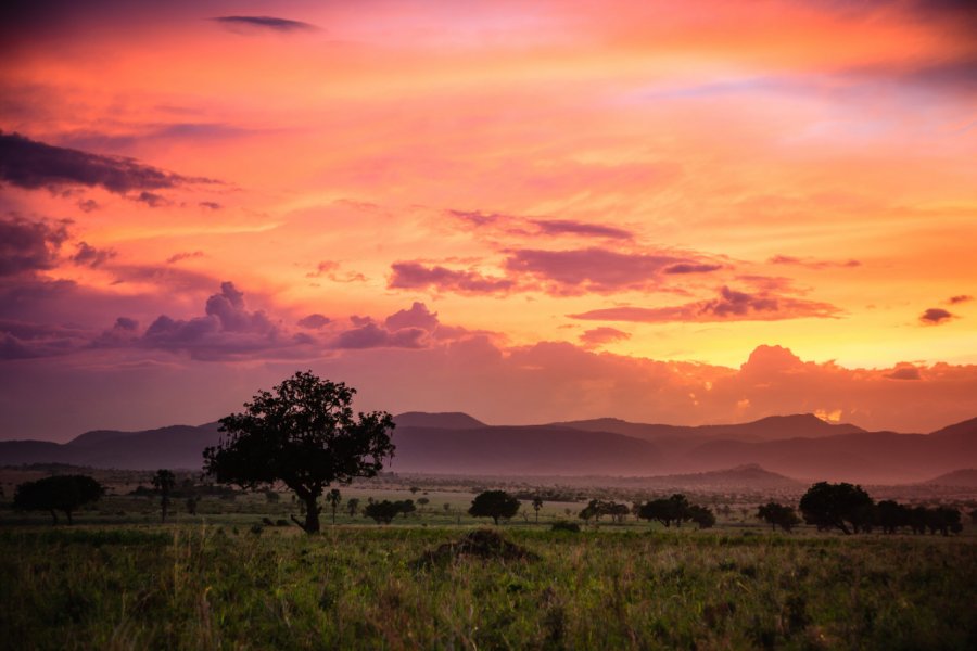 Kidepo Valley National Park. Radek Borovka - Shutterstock.com