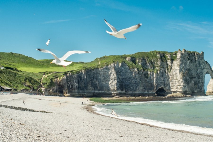 Etretat. HUANG Zheng - Shutterstock.com