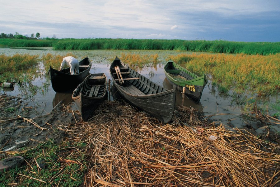 Barques sur le delta du Danube. Hugo Canabi - Iconotec