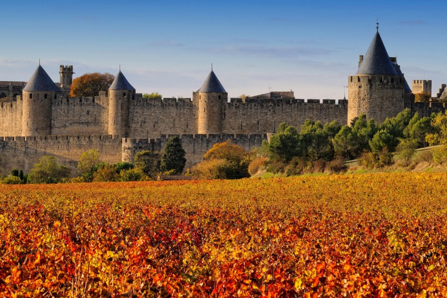 La cité de Carcassonne et son vignoble. Pat on stock - Fotolia