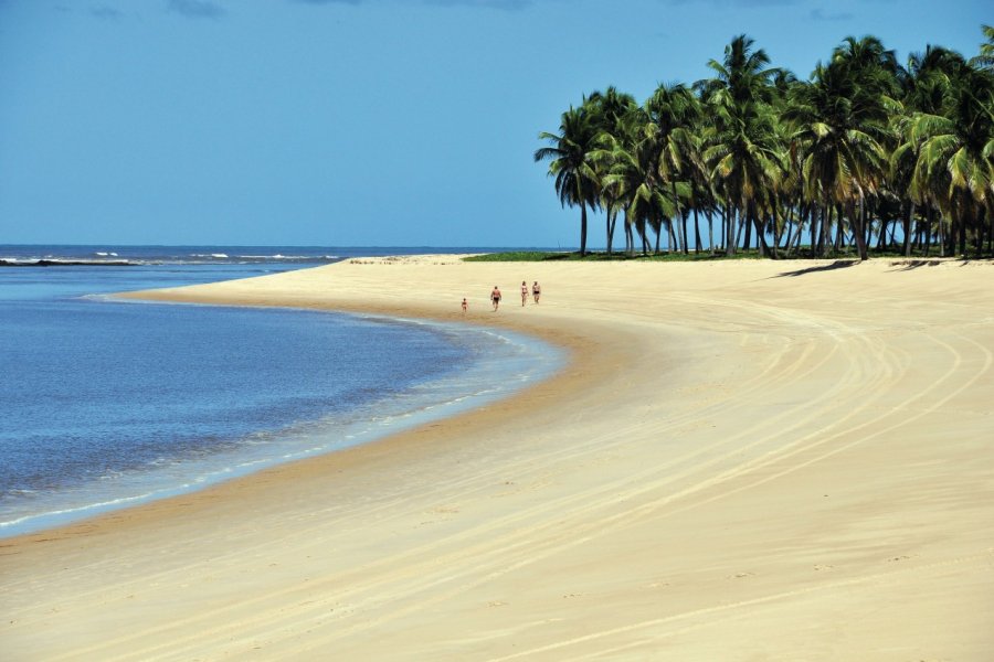 Plage de Gunga. Michele.pautasso - Fotolia