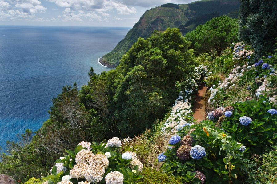 Le mirador de Ponta da Madrugada et ses hortensias. ArjaKo's - Shutterstock.com