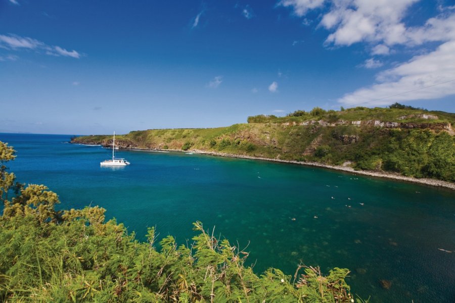 Honolua Bay. Hawaii Tourism Authority (HTA) / Tor Johnson