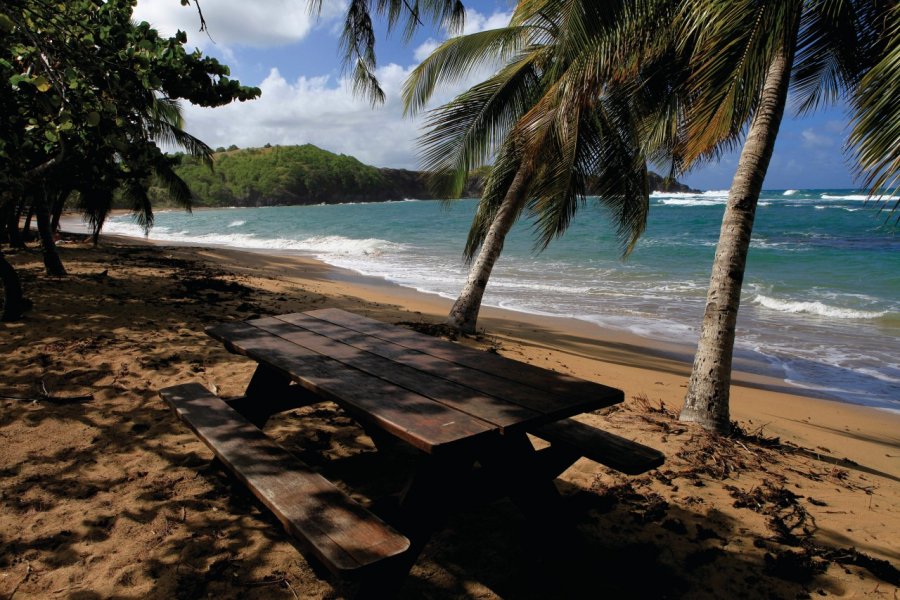 Plage de Tartane. sogood - iStockphoto