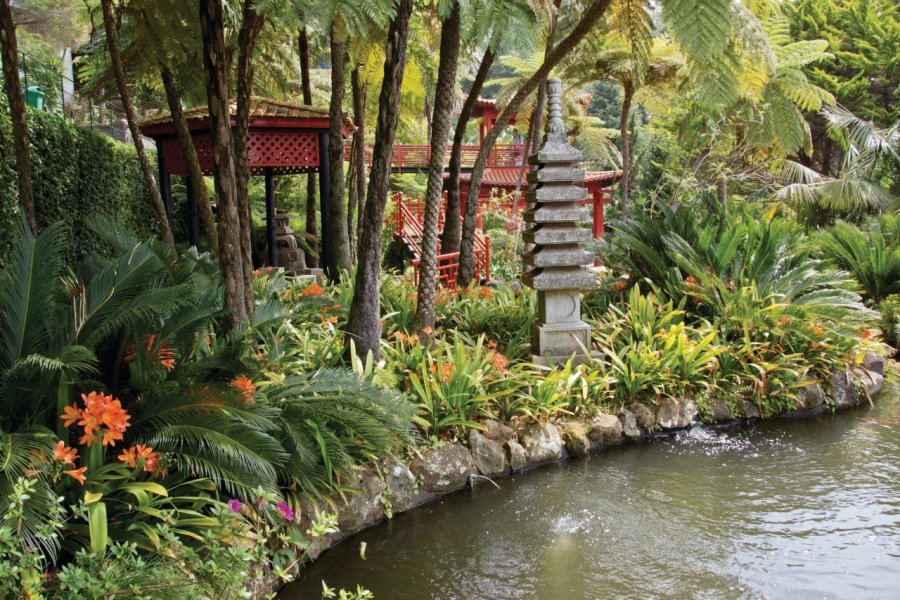 Jardin tropical de Monte Palace. Kelifamily - iStockphoto