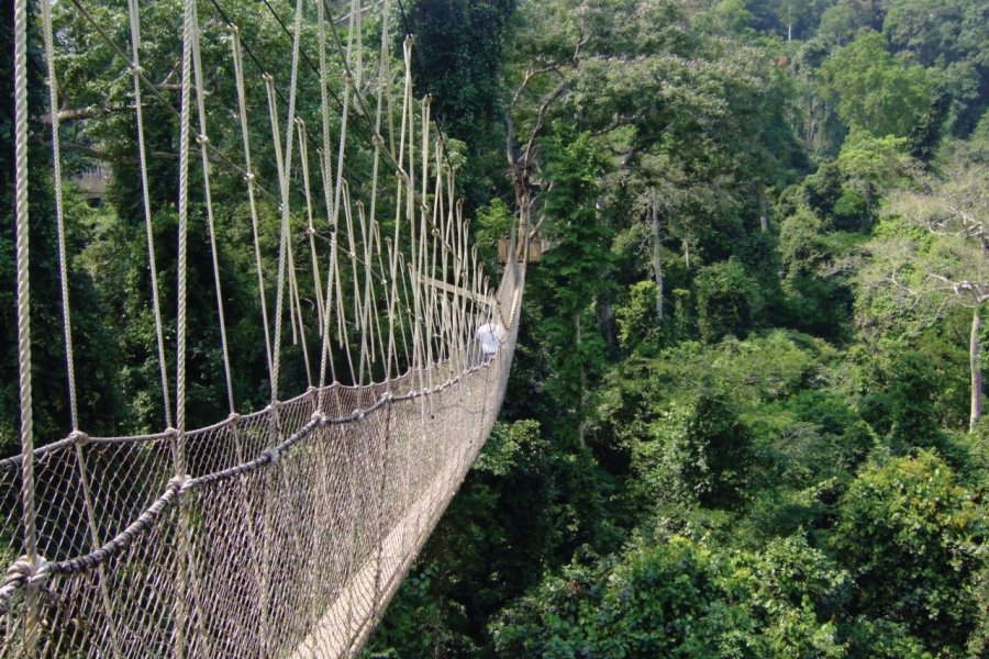 Parcours du Canopy au Kakum National Park. bytestrolch - iStockphoto.com