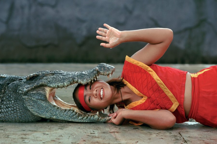 Spectacle de crocodiles au Sri Ratcha Tiger Zoo. Author's Image