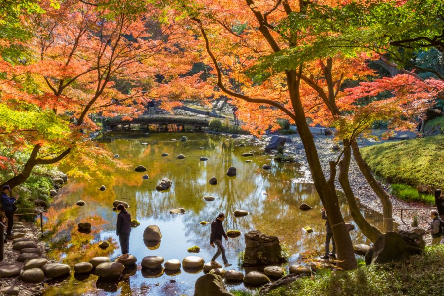 Jardin botanique de Koishikawa. Takashi Images - Shutterstock.com