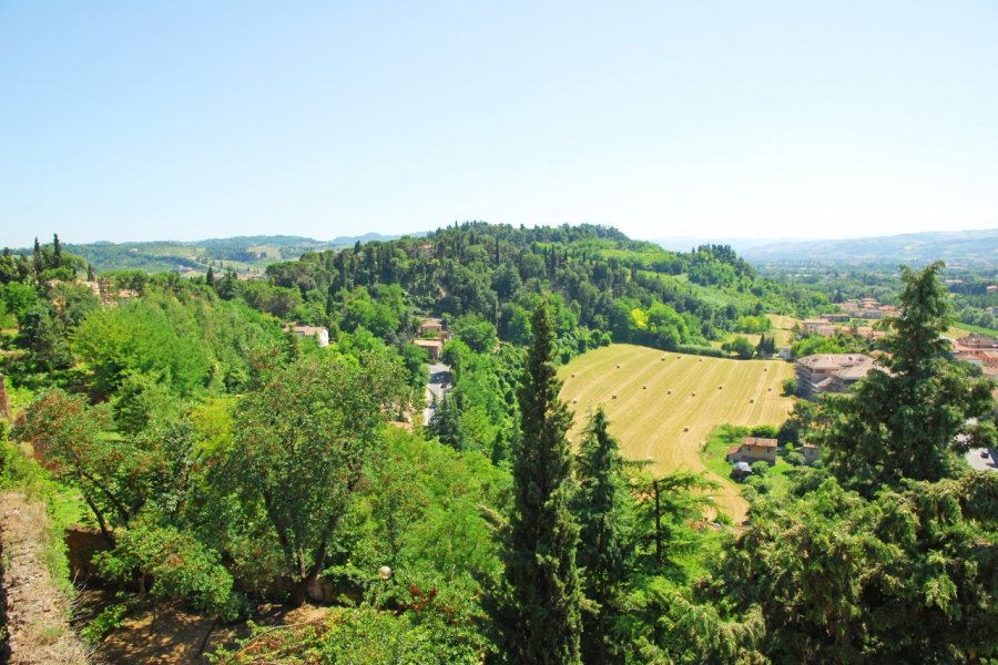 Paysage de Cesena. Claudio Zaccherini - Shutterstock.com