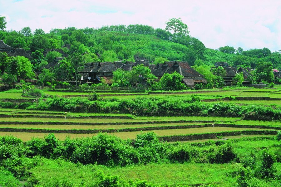 Village Dai de Menglun. Author's Image