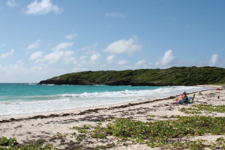 Green Beach de Vieques. acorgirl - iStockphoto.com