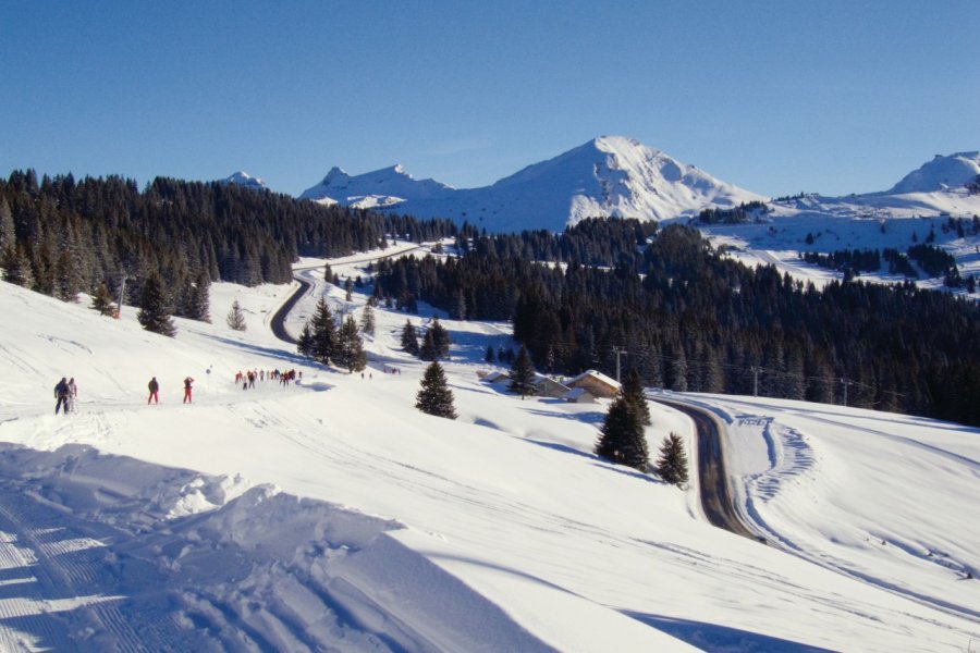 Pistes près de Morzine (© JayKay57 - iStockphoto.com))