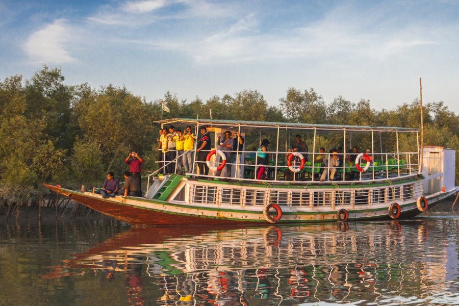 Sunderbans. NOWAK LUKASZ - Shutterstock.com