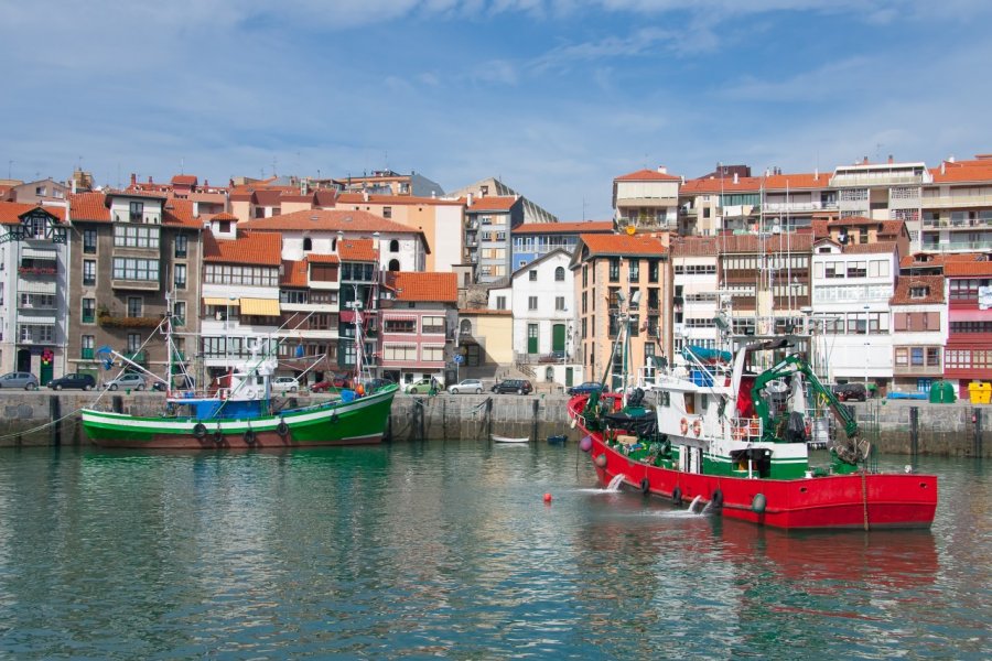 Lekeitio. Francisco Javier Gil - Shutterstock.com